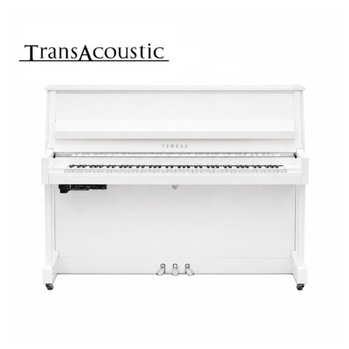 b20 transacoustic blanc brillant chromé B20 Transacoustic Blanc Brillant Chromé