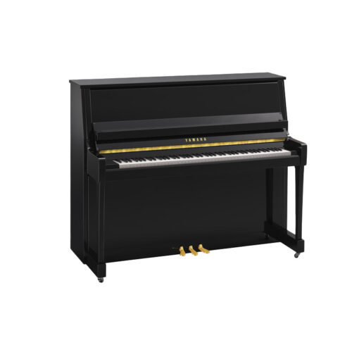 B30 Noir Brillant