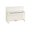B30 Blanc Brillant Chromé
