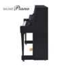B30 Silent Noir Brillant