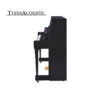 B30 Transacoustic Noir Brillant