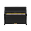B30 Transacoustic Noir Brillant