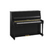 B30 Transacoustic Noir Brillant