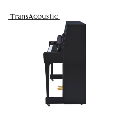 b30 transacoustic noir brillant B30 Transacoustic Noir Brillant