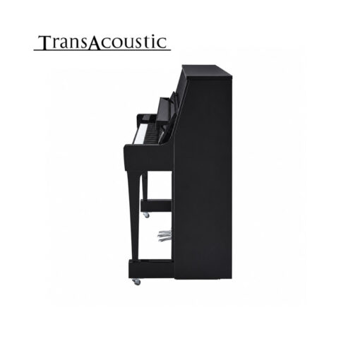 b30 transacoustic noir brillant chromé B30 Transacoustic Noir Brillant Chromé