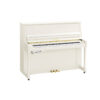 B30 Transacoustic Blanc Brillant