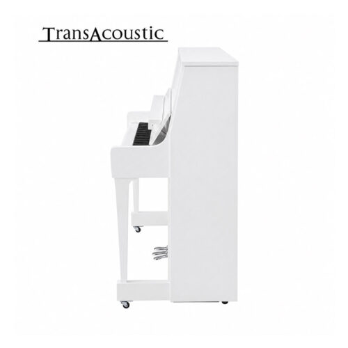 b30 transacoustic blanc brillant chromé B30 Transacoustic Blanc Brillant Chromé